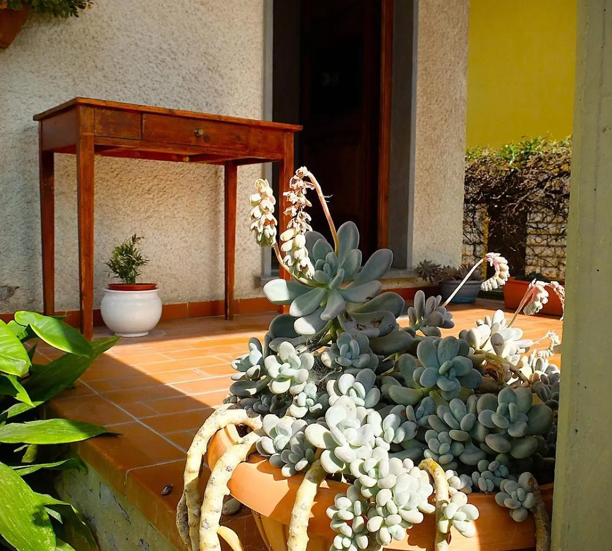 Casa Luminosa A 5 Min Dal Mare Apartment Lido di Camaiore
