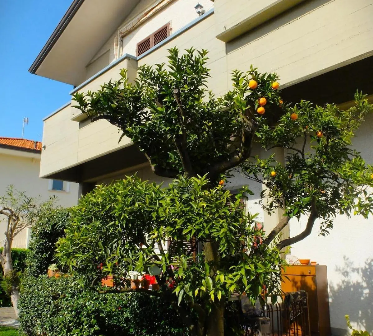 Casa Luminosa A 5 Min Dal Mare Apartment Lido di Camaiore Italy